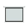 Экран моторизированный Deluxe DLS-E274x210, Настенный/потолочный, Рабочая поверхность 266х150 см., 16:9, Matt white, Белый