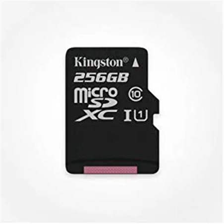 Micro Secure Digital Card (Trans Flash) 256GB HC10 KINGSTON